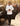 Ivory prom suit