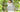 Serenity Collection: A-Dress-A-Day To A Lucky Address Competition!
