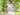 Serenity Collection: A-Dress-A-Day To A Lucky Address Competition!