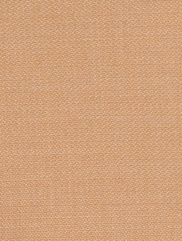 Boys camel beige tie