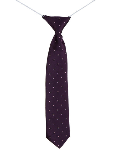 Boys purple elasticated tie and hanky set - Polka Dot