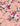 boys pink floral dickie bow
