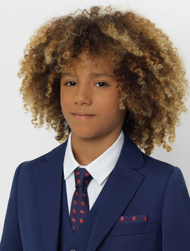 Boys navy strawberry print tie