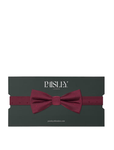 Boys burgundy self dot banded dickie bow