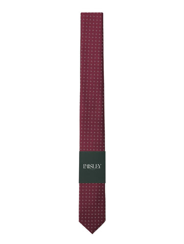 Boys full length burgundy trio dot tie